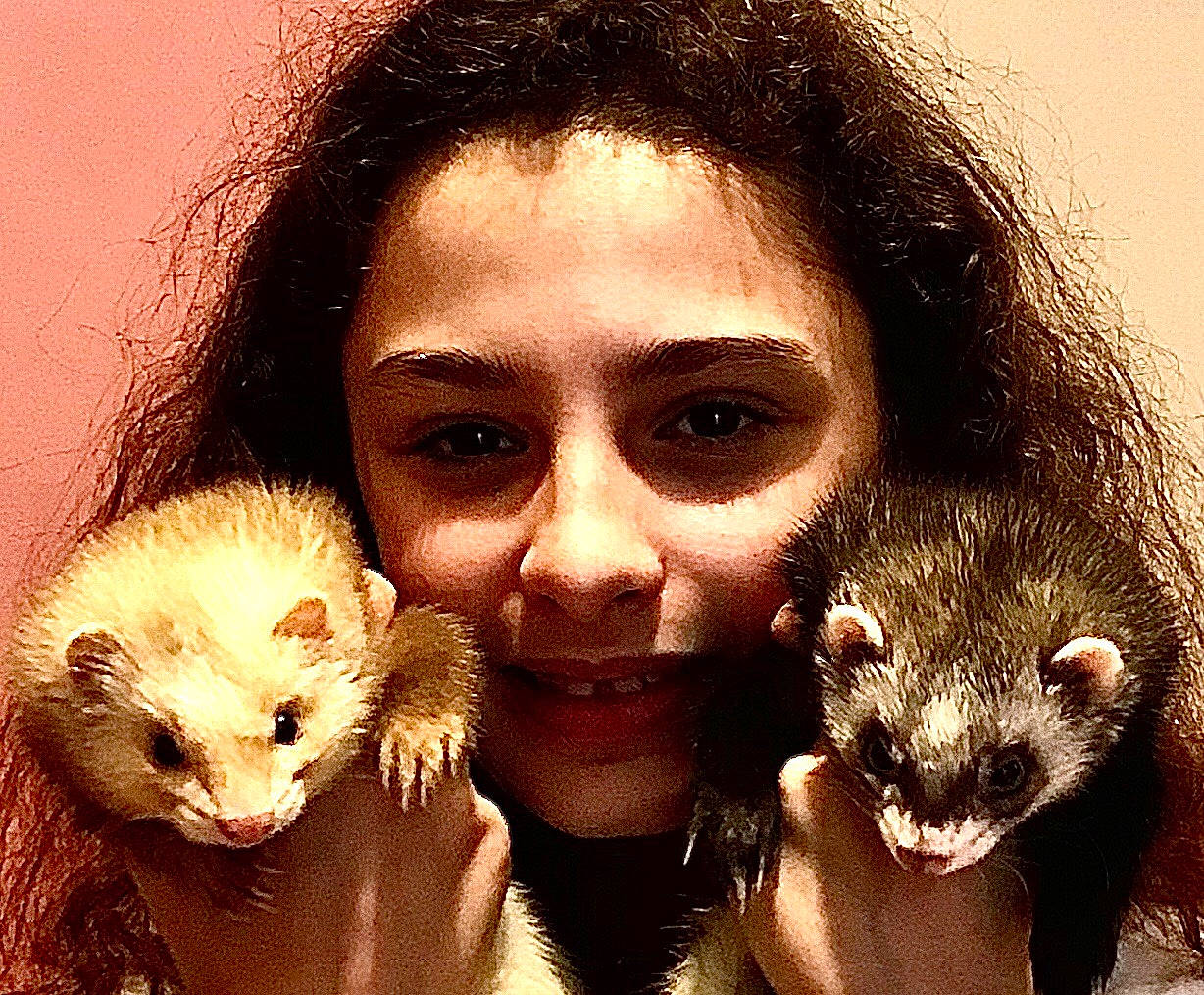 Tagada Et Titi a rejoint le concours — aidez-le/la à gagner de superbes lots ! black_footed_ferret, carnivore, common_opossum, ferret, fisher, fur, head, mammal, marsupial, marten, mink, mustelidae, mustelinae, polecat, possum, smile, vertebrate, viverridae, whiskers