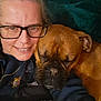 brown_dog, casual, closeup, comfort, couch, cozy, dog, face, friendship, glasses, human, indoor, person, pet, portrait, relaxing, sleeping, smiling, snuggling, warm