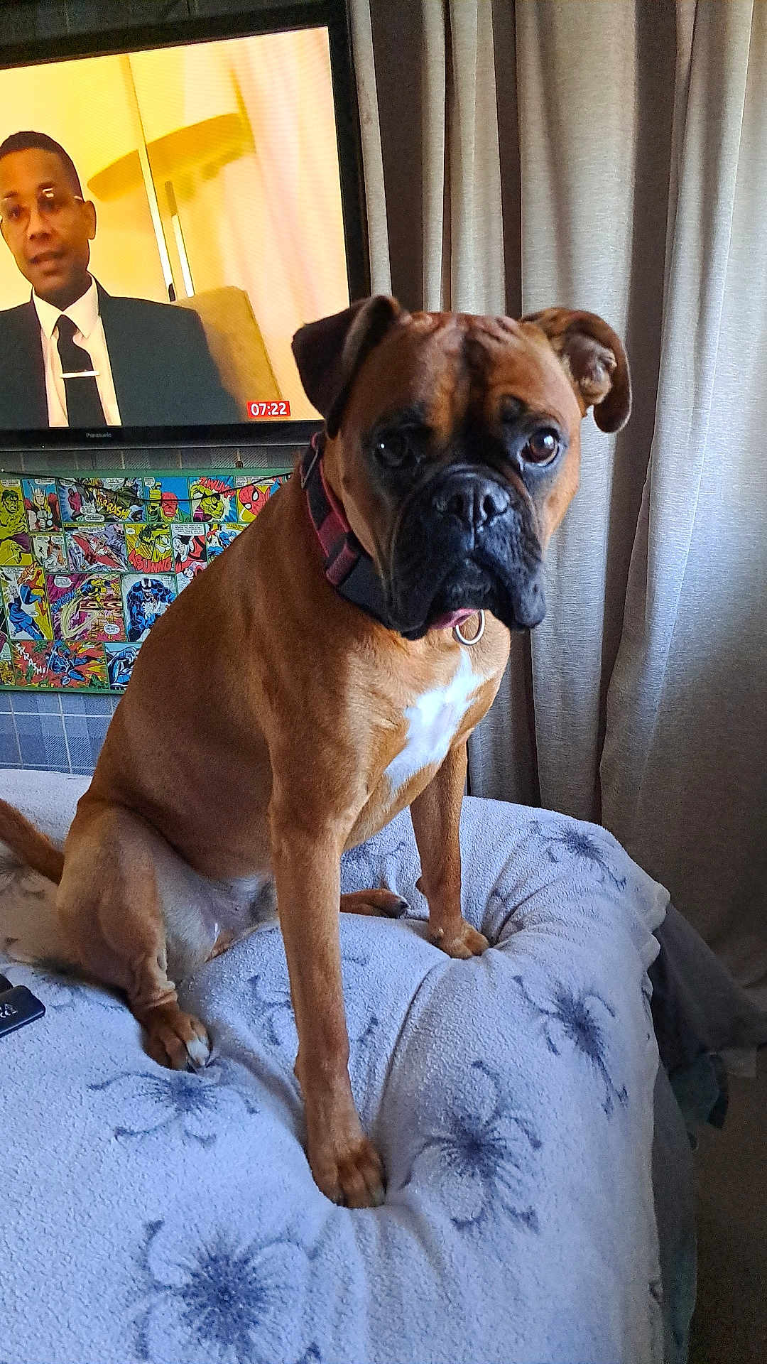 Baby Winston