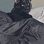 animal, black_cat, blanket, cat, close_up, cozy, domestic_animal, ears, fabric, feline, fur, home, indoor, pet, portrait, relaxed, resting, sleepy, soft_texture, whiskers
