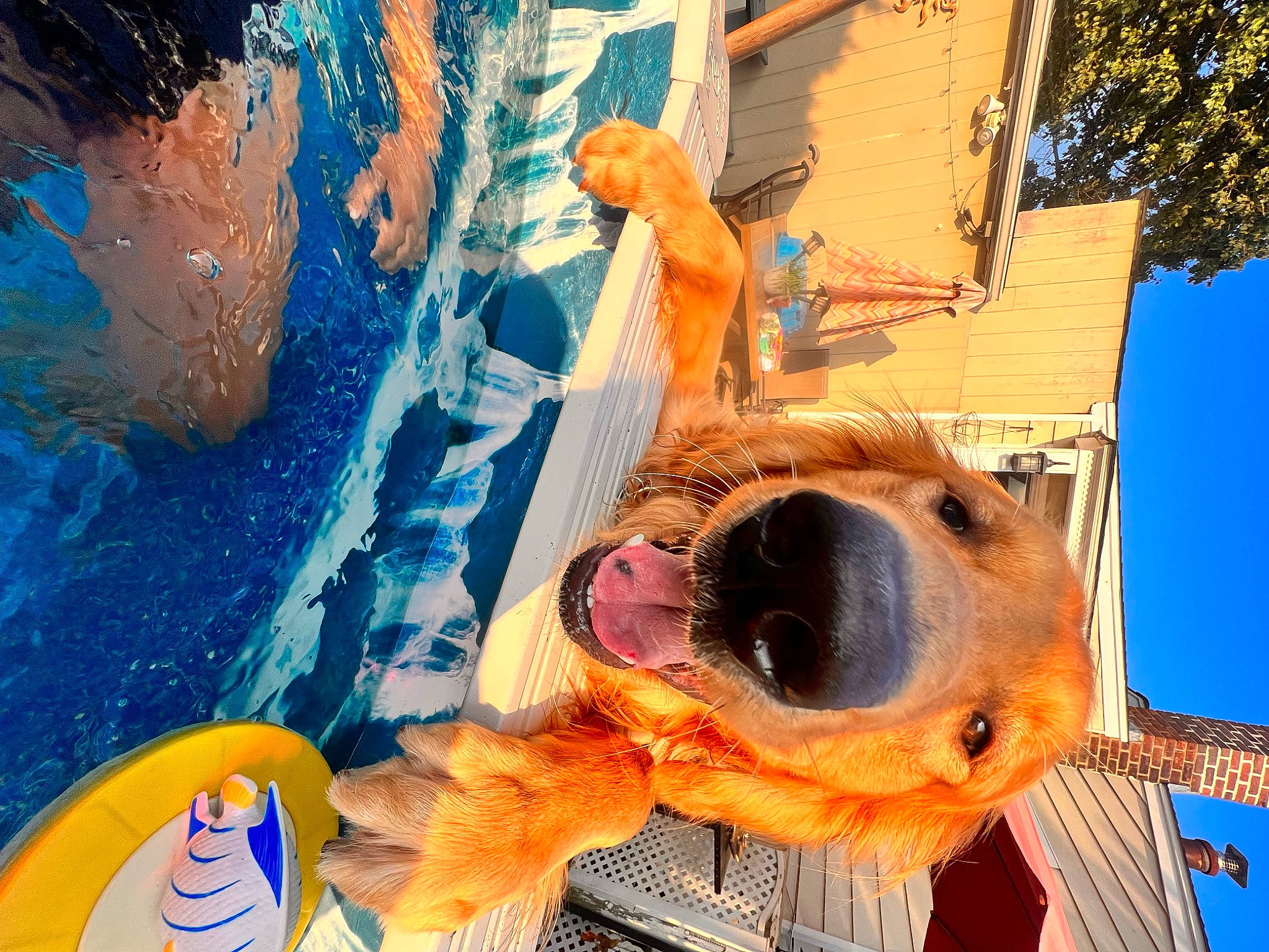 Woody is registered to the contest to win money with this photo: blue, eyewear, fun, goggles, hat, leisure, personal_protective_equipment, photograph, recreation, selfie, sky, snapshot, snout, sunglasses, visual_arts, water, window, winter, world, yellow