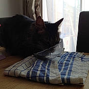 LILLI participe au concours pour gagner de l'argent avec cette photo :
