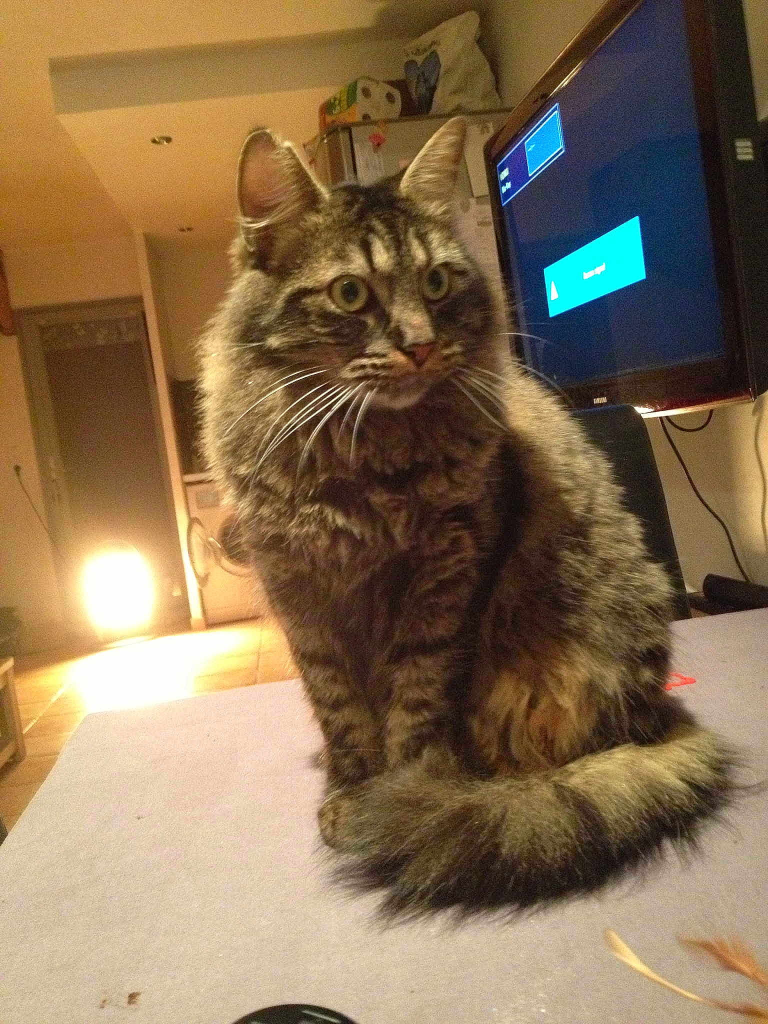 LILLI