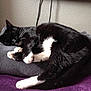 THEMIS participe au concours pour gagner de l'argent avec cette photo :