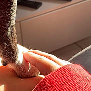 Sparrow participe au concours pour gagner de l'argent avec cette photo : arm, bodypart, clothing, computer, electronics, face, finger, hand, head, holdinghands, knitwear, laptop, massage, neck, person, phone, remotecontrol, skin, sweater, wrist