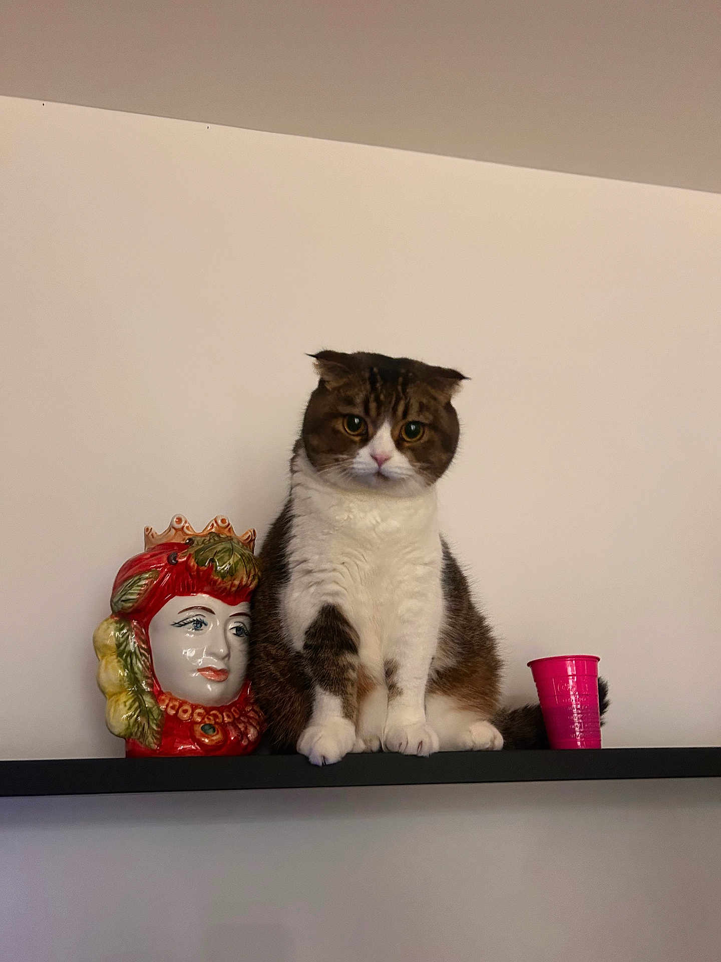 Pablo