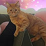 cat, orange_tabby, couch, furniture, relaxing, indoor, pet, fur, whiskers, ears, paws, pink, background, stars, sparkles, soft, cozy, animal, resting, home