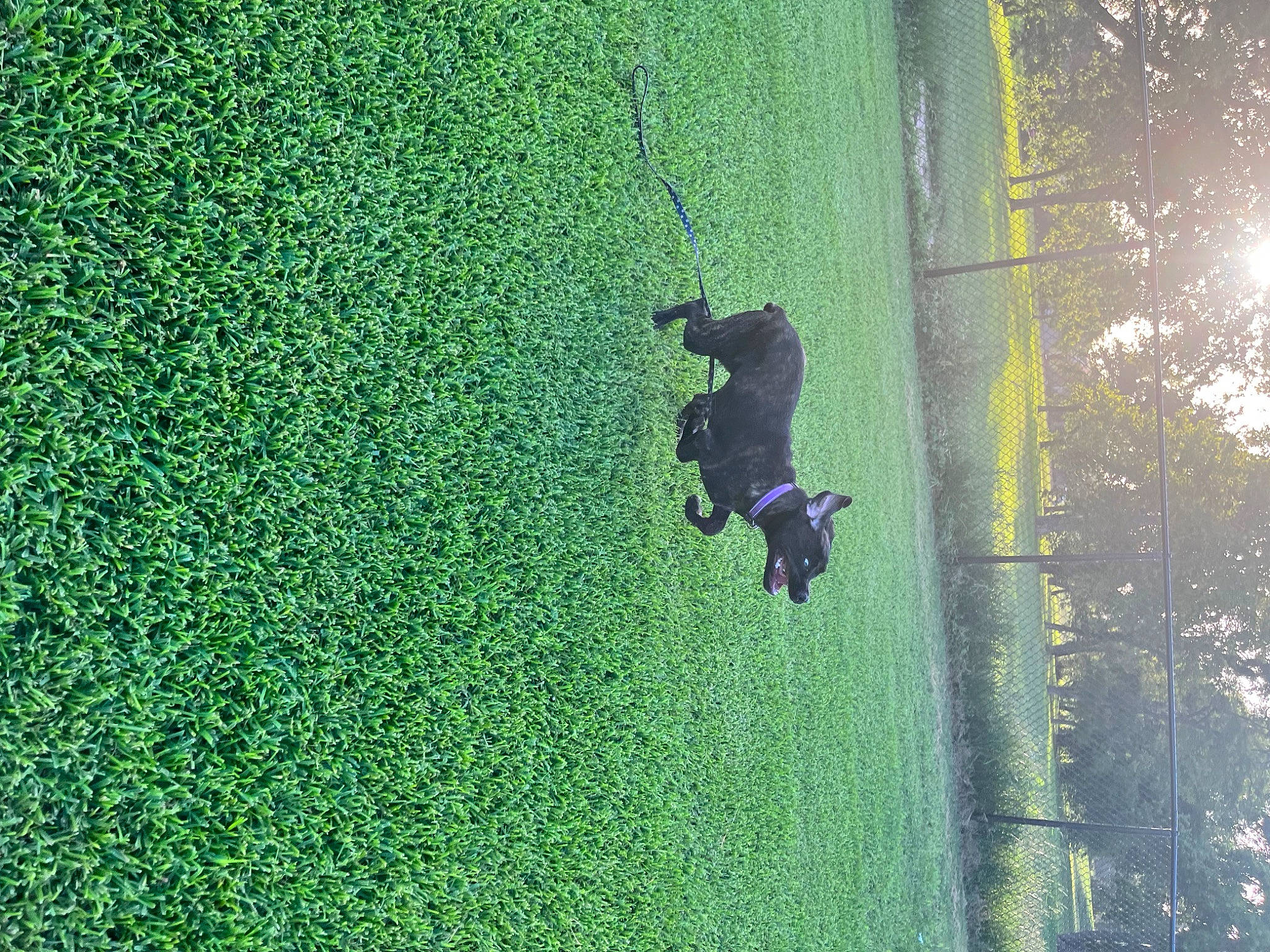 Ione is registered to the contest to win money with this photo: adventure, artificial_turf, extreme_sport, fun, grass, grassland, groundcover, hedge, landscape, leisure, pasture, people_in_nature, plant, recreation, shadow, shrub, slope, tints_and_shades, tree, water