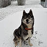 Vaïko participe au concours pour gagner de l'argent avec cette photo :