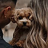 Sulley joined the competition — help win amazing prizes! affection, animal, back_view, blurry_background, brown_dog, close_up, companionship, couple, cute_pet, dog, fluffy_dog, hair, holding_dog, intimate_moment, outdoor, people, pet, portrait, soft_light, warm_colors