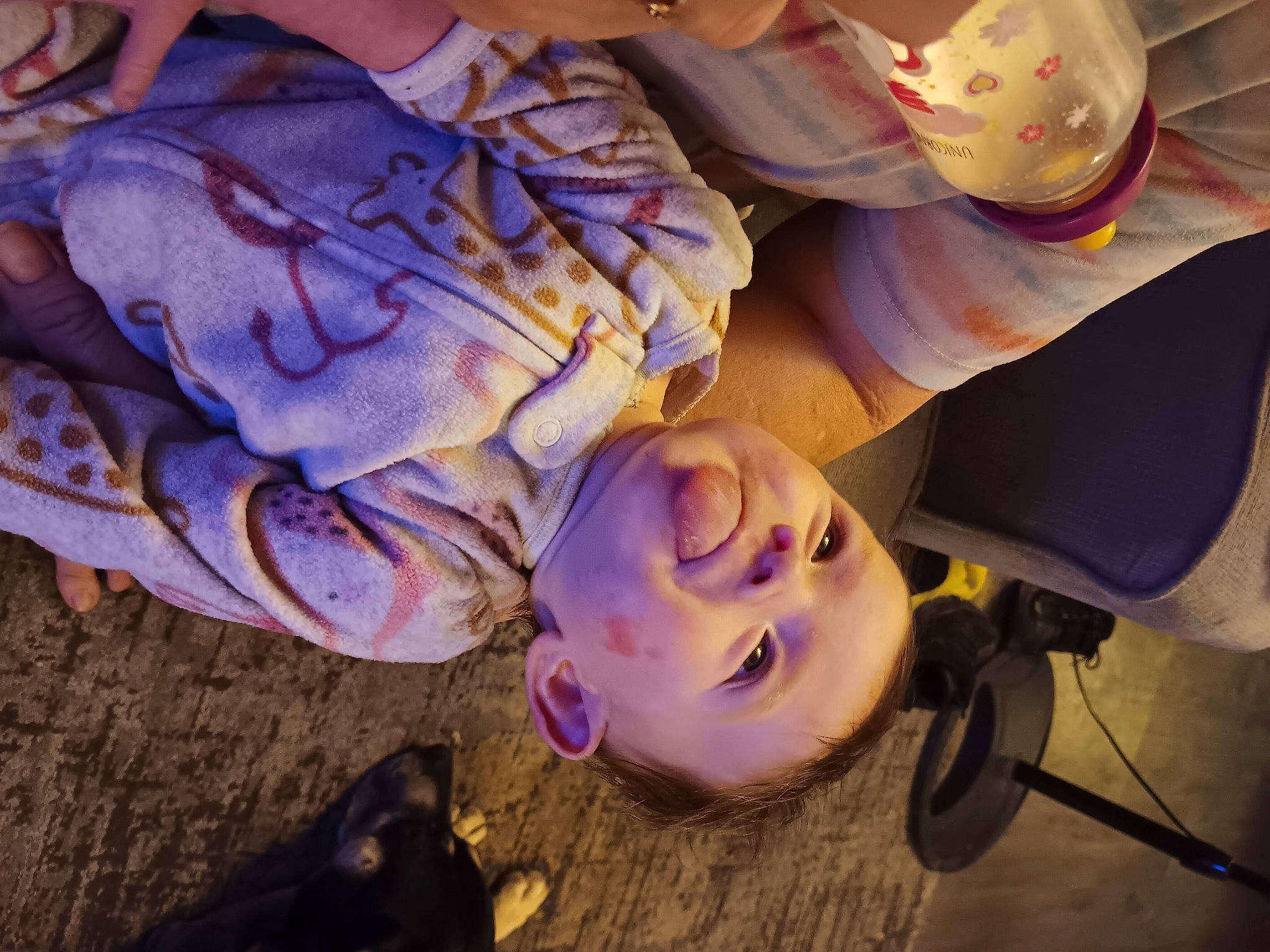 Nicole joined the competition — help win amazing prizes! child, electric_blue, eyewear, fun, happy, leisure, person, plant, plastic, purple, selfie, smile, soil, sunglasses, tree, visual_arts, water, wood