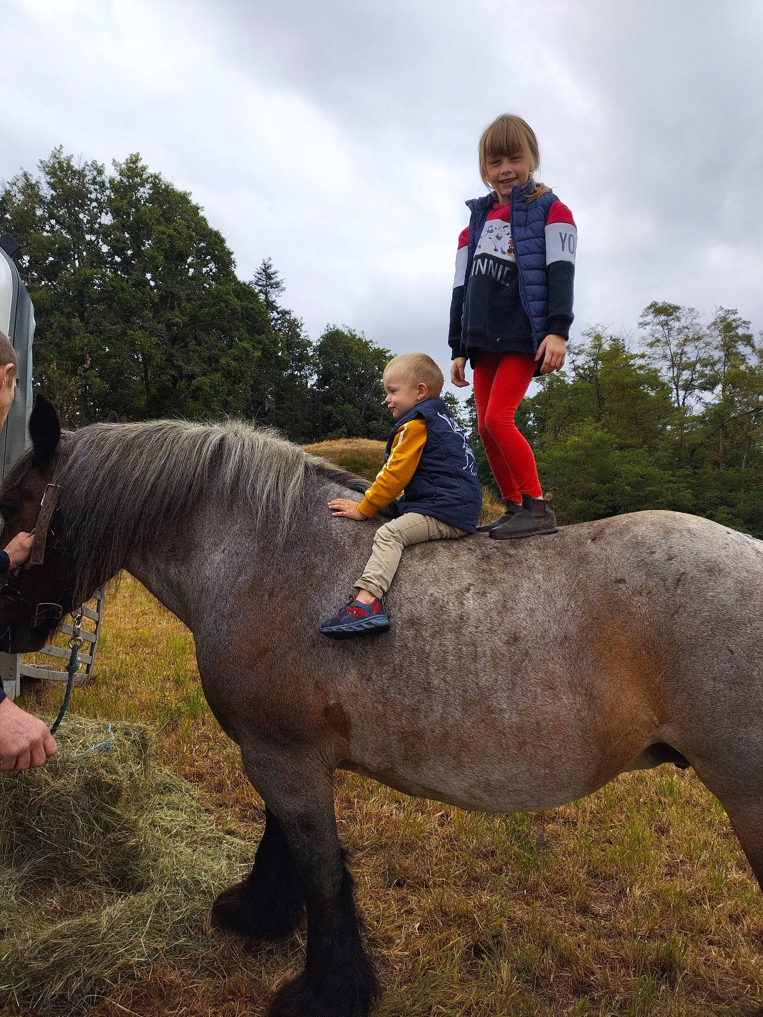 Noémie participe au concours pour gagner de l'argent avec cette photo : bridle, cloud, equestrianism, grass, horse, horse_supplies, horse_tack, joy, landscape, livestock, mane, mare, pack_animal, person, plant, recreation, rein, shetland_pony, sky, toddler