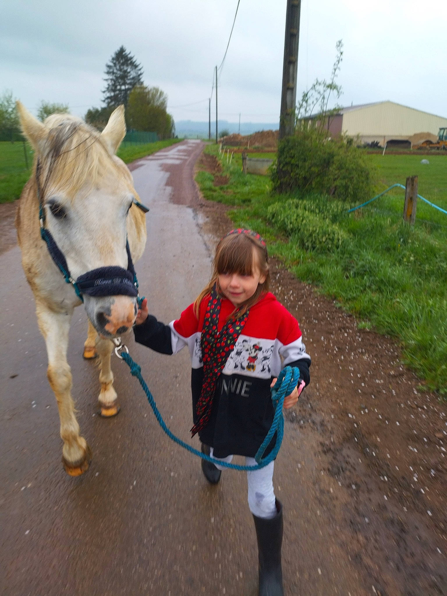 Noémie a rejoint le concours — aidez-le/la à gagner de superbes lots ! asphalt, bridle, cloud, fun, horse, horse_supplies, horse_tack, joy, landscape, leash, livestock, mane, mare, pack_animal, person, plant, recreation, rein, sky, toddler