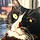 Mittens
