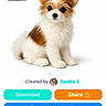 Cujo is registered to the contest to win money with this photo: advertisement, app_interface, brown_spots, clothing, colorful, cute, digital, dog, download_button, fluffy, fur, generate_photo_button, mobile_screen, pet, puppy, share_button, sitting, small_dog, text, white_background