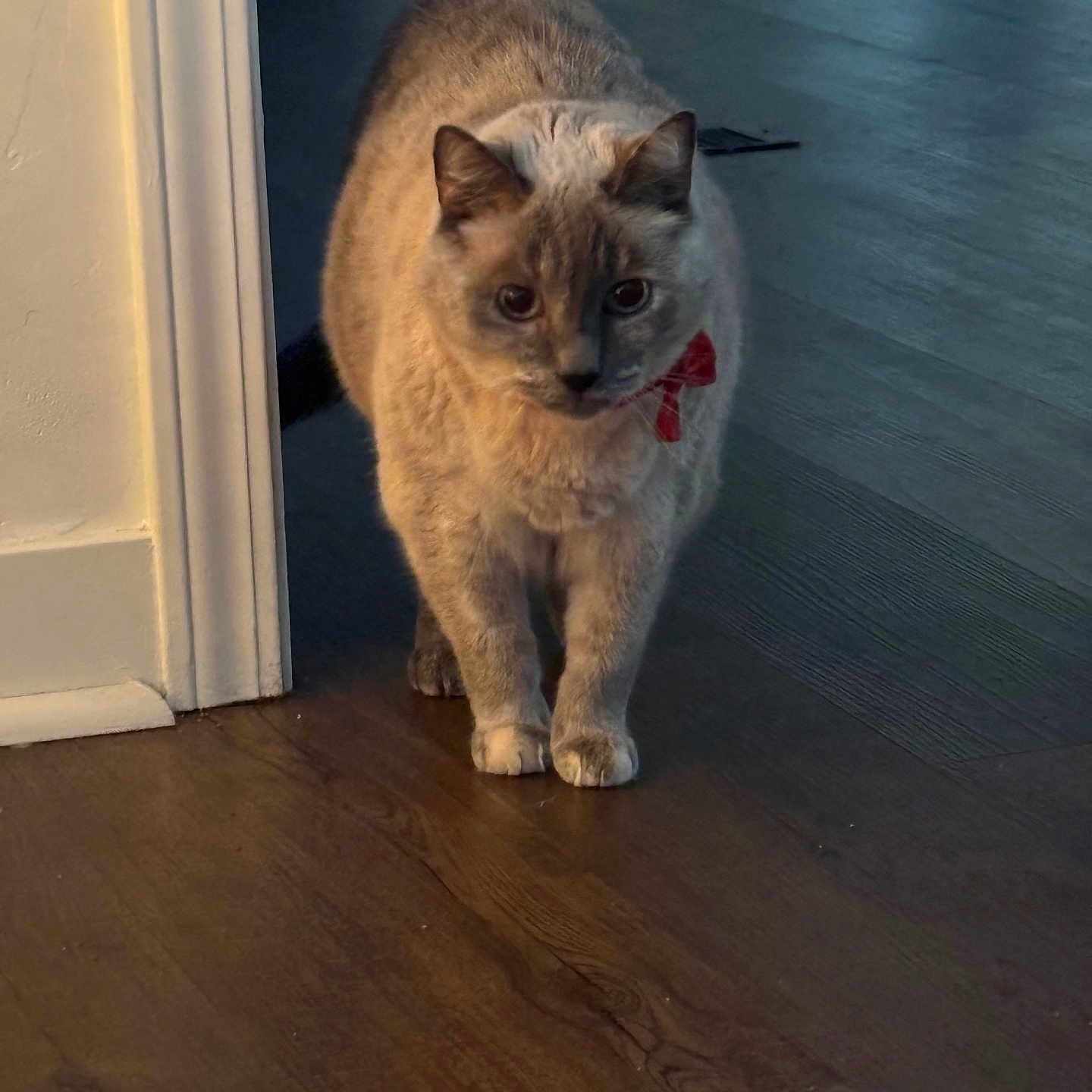 Luna