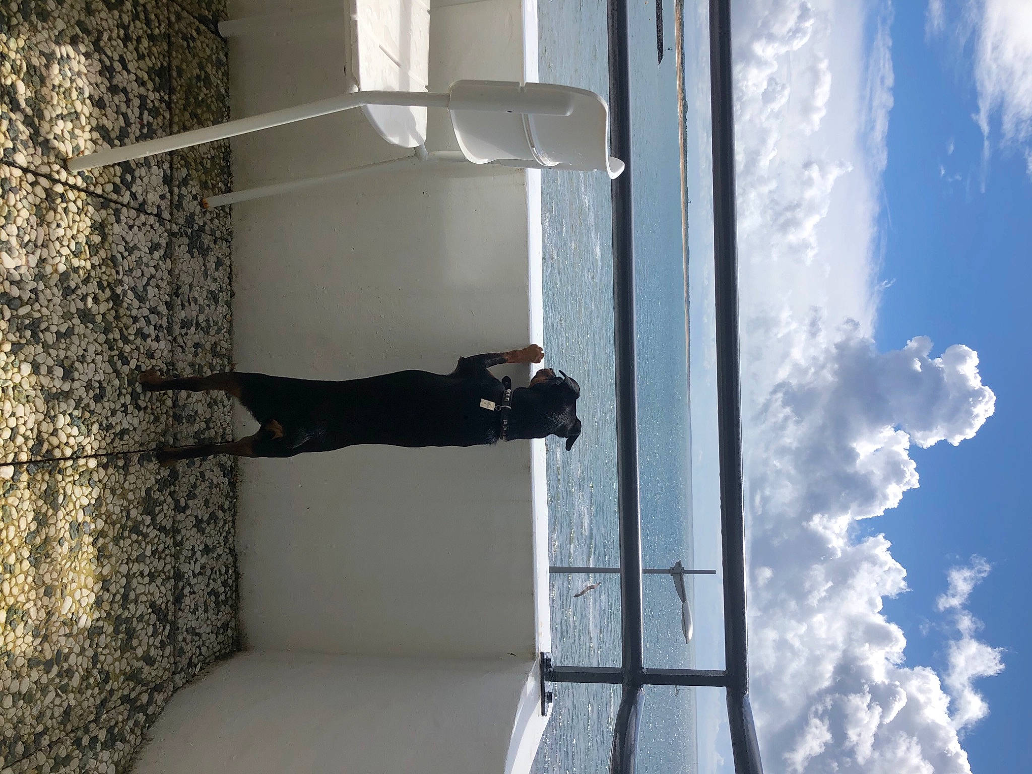 Paz participe au concours pour gagner de l'argent avec cette photo : blue, ceiling, cloud, comfort, daylighting, door, electric_blue, facade, glass, grey, house, jeans, light, room, sky, stairs, standing, suit, window, wood