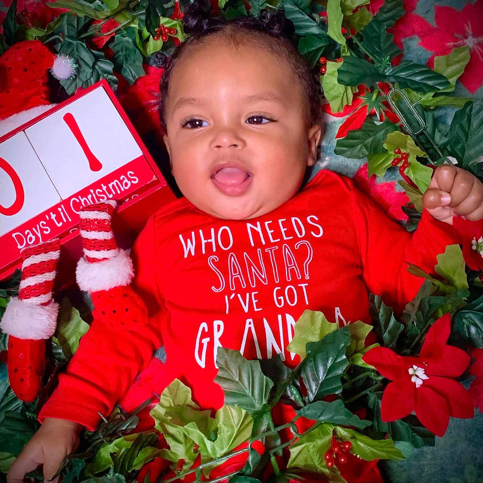 Tyrion Jr joined the competition — help win amazing prizes! baby, celebration, child, christmas, countdown, cute, face, festive, greenery, happy, holiday, holiday_decor, indoor, infant, poinsettia, portrait, red_clothing, seasonal, smiling, tongue_out