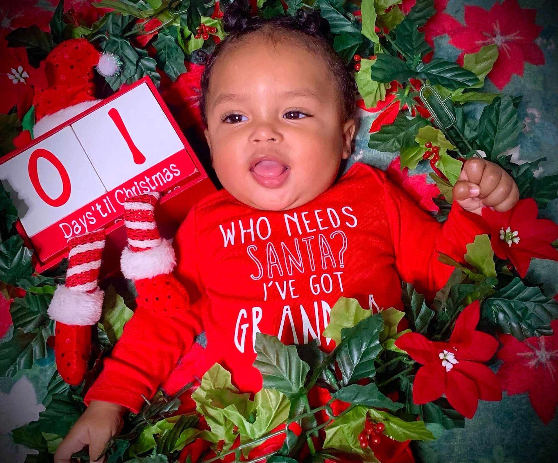 Tyrion Jr joined the competition — help win amazing prizes! baby, child, christmas, holiday, festive, red_clothing, countdown, smiling, greenery, poinsettia, celebration, cute, portrait, indoor, holiday_decor, happy, face, infant, seasonal, tongue_out