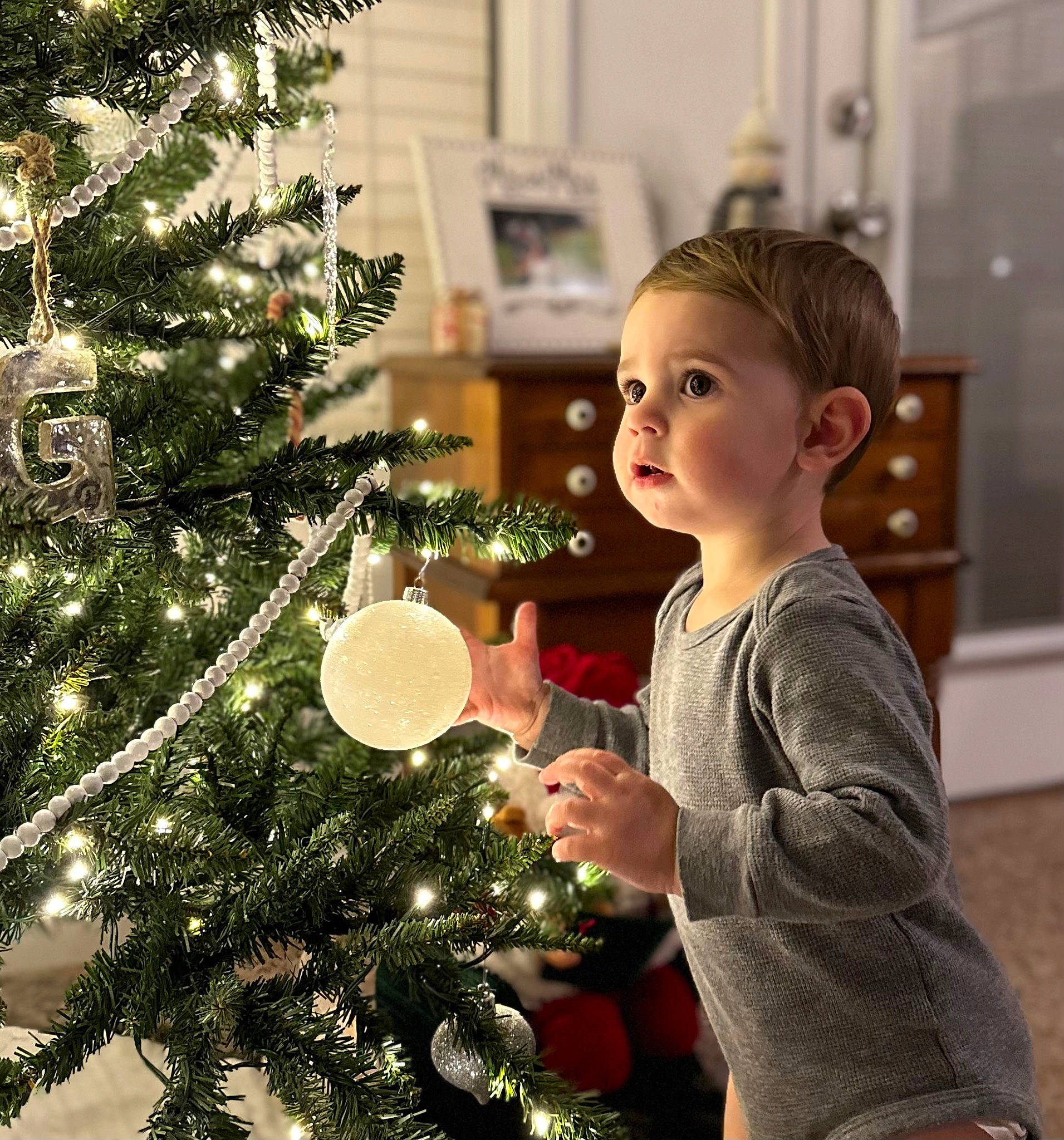 Kasper is registered to the contest to win money with this photo: christmas, christmas_decoration, christmas_eve, christmas_ornament, christmas_tree, conifer, event, evergreen, happy, holiday, holiday_ornament, home, larch, ornament, person, plant, shortstraw_pine, sitting, toddler, tree