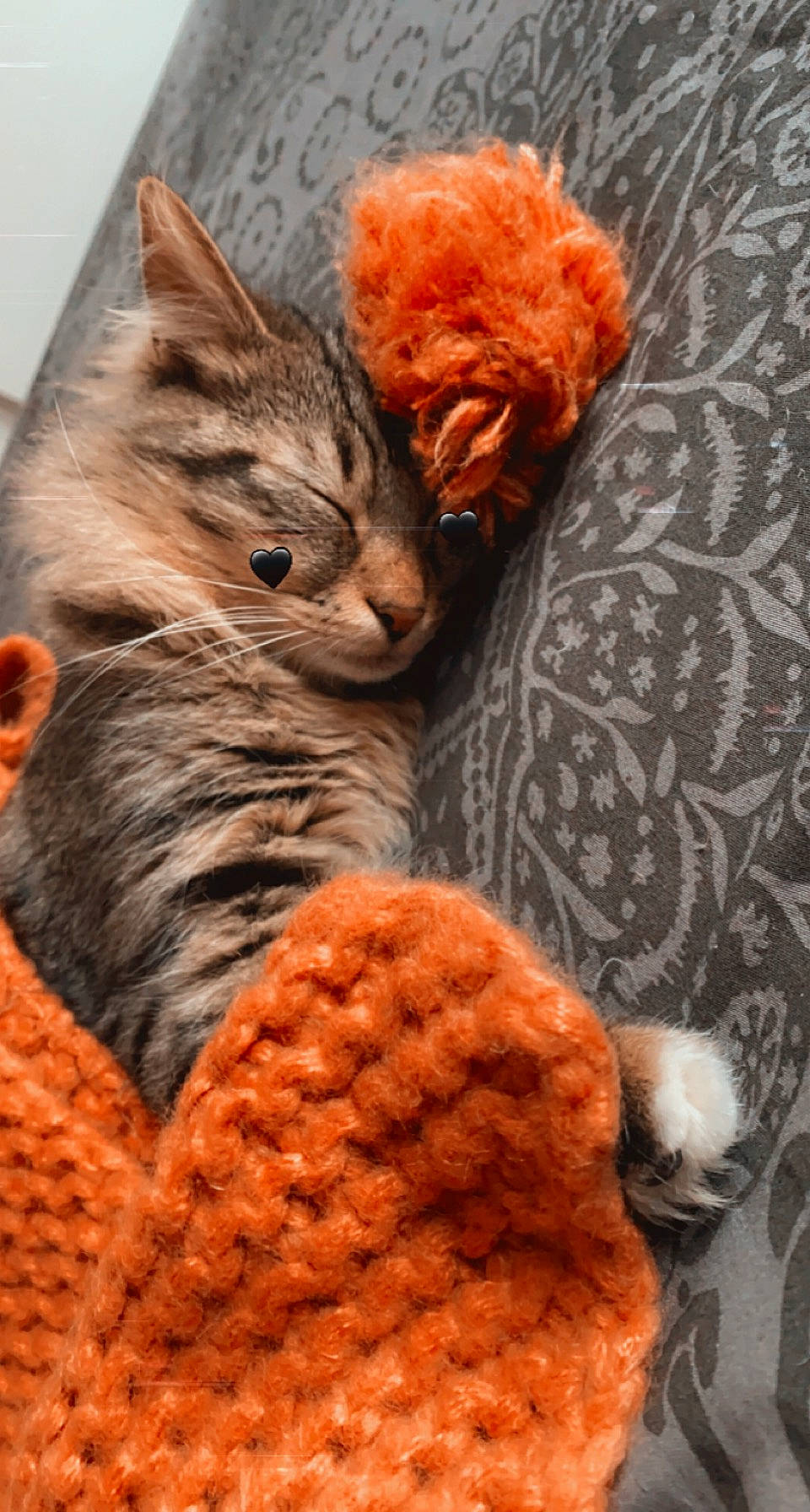 Neptune a rejoint le concours — aidez-le/la à gagner de superbes lots ! carnivore, cat, comfort, domestic_short_haired_cat, fawn, felidae, fur, grey, orange, pattern, paw, small_to_medium_sized_cats, stuffed_toy, tail, textile, thread, toy, whiskers, wool, woolen