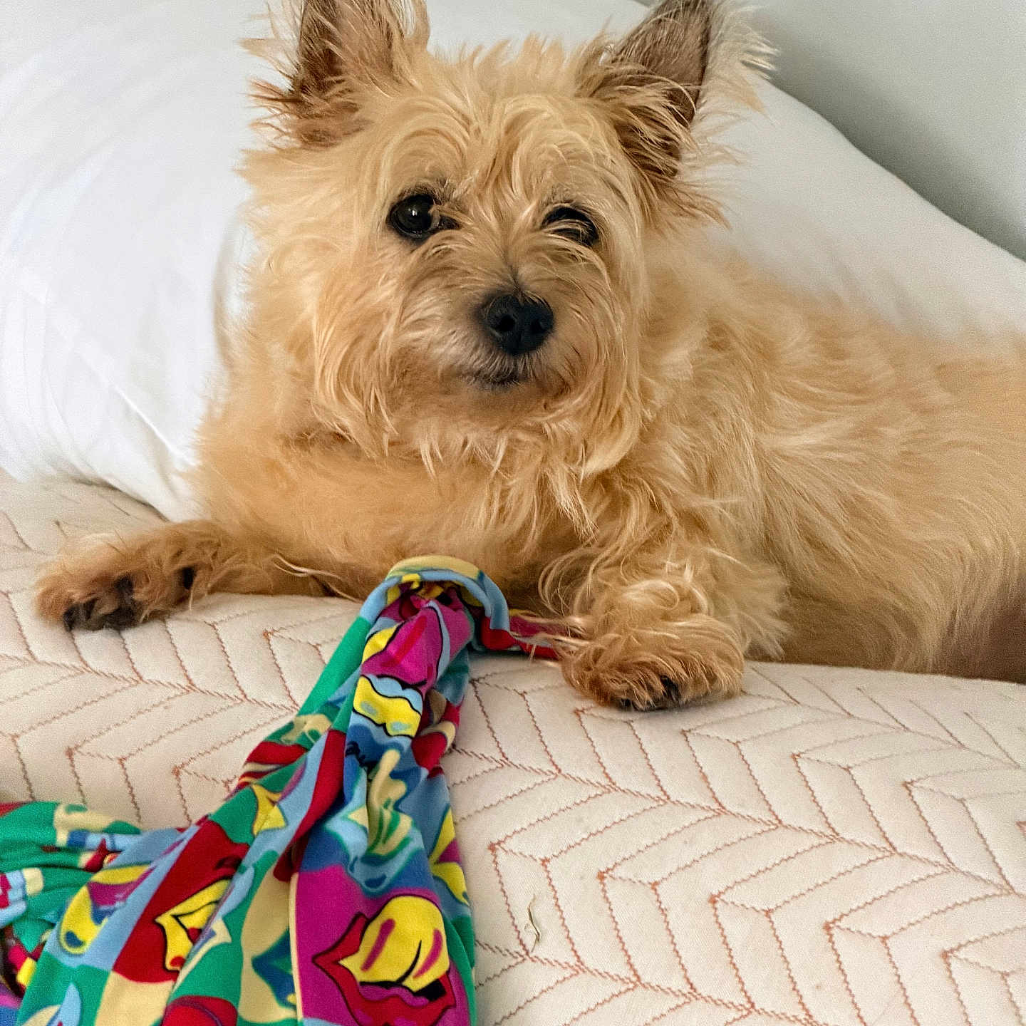Fiona