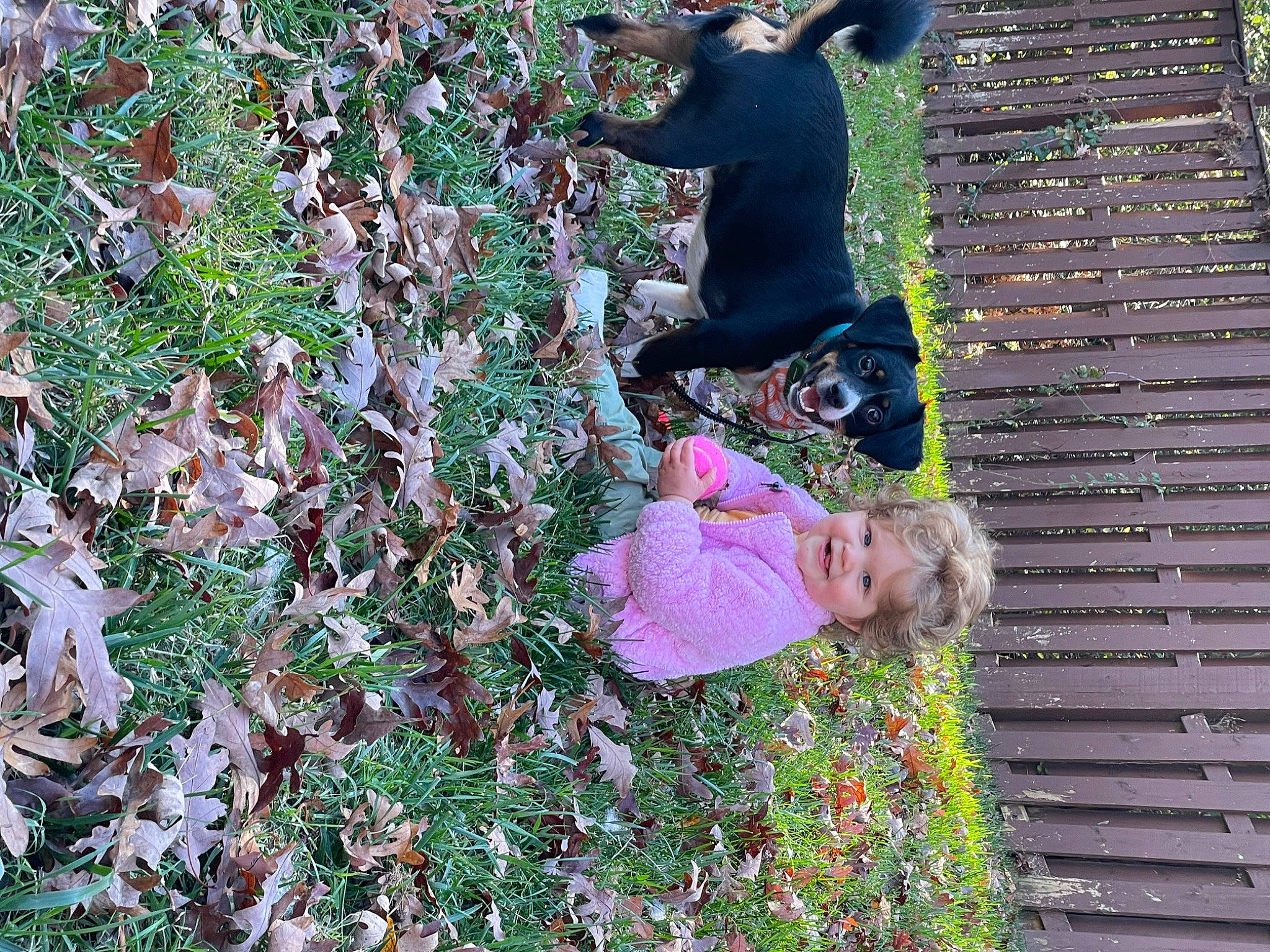 Livia is registered to the contest to win money with this photo: child, deciduous, flowering_plant, garden, grass, groundcover, joy, leaf, leisure, magenta, people_in_nature, person, plant, shrub, spring, toddler, tree