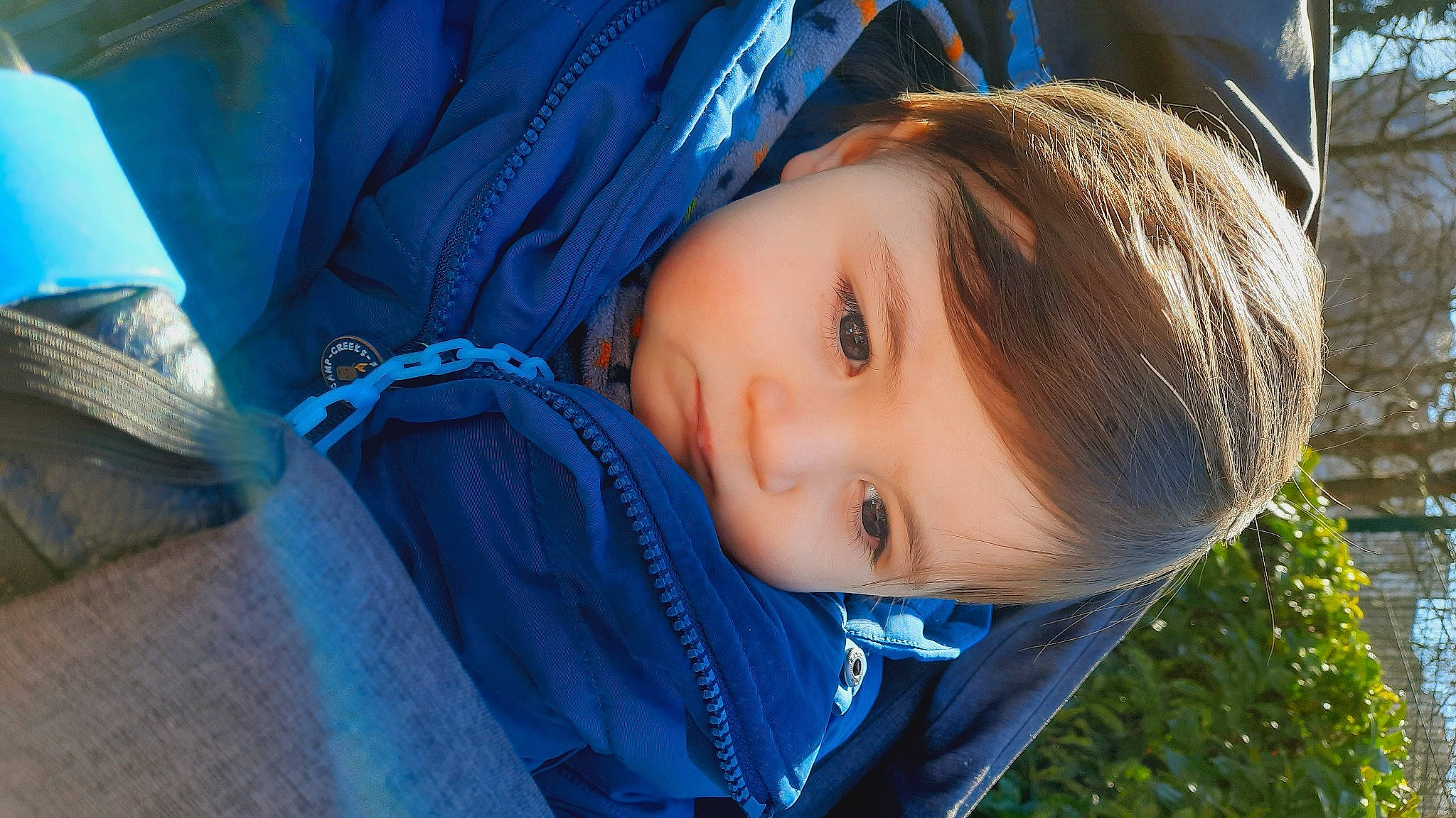 Sandro a rejoint le concours — aidez-le/la à gagner de superbes lots ! blue, child, cool, electric_blue, eyebrow, eyelash, flash_photography, grass, happy, iris, jacket, leisure, lip, nose, person, plant, skin, sky, smile, toddler