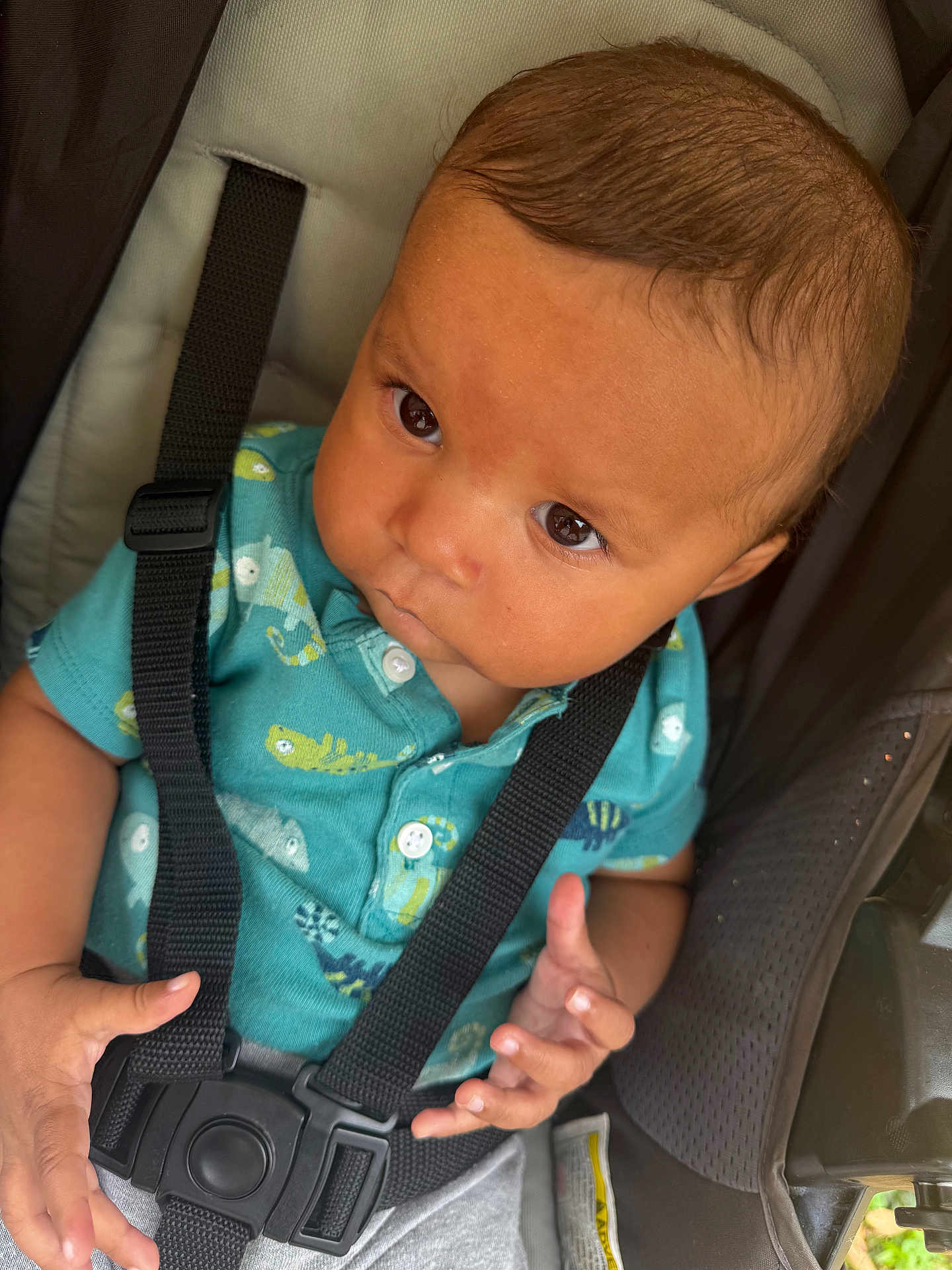 Brandon is registered to the contest to win money with this photo: baby, child, car_seat, safety_harness, teal_shirt, dinosaur_print, curious, hands, infant, seat, straps, young_child, portrait, close_up, indoors, cute, face, expression, clothing, person