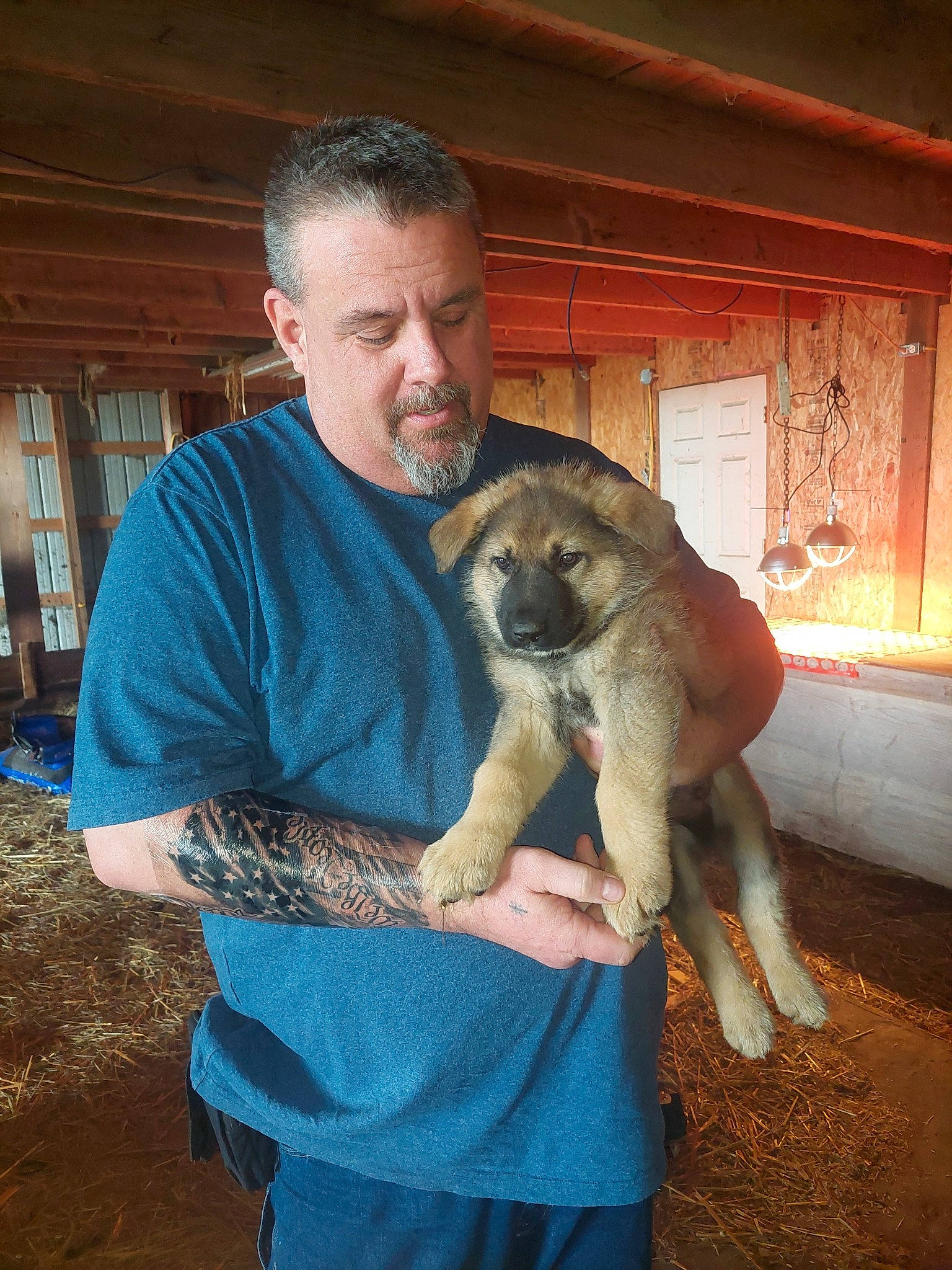 Asher is registered to the contest to win money with this photo: animal_training, canidae, carnivore, companion_dog, dog_breed, fawn, fur, marsupial, primate, snout, sporting_group, terrestrial_animal, wallaby, wildlife, wildlife_biologist, zookeeper