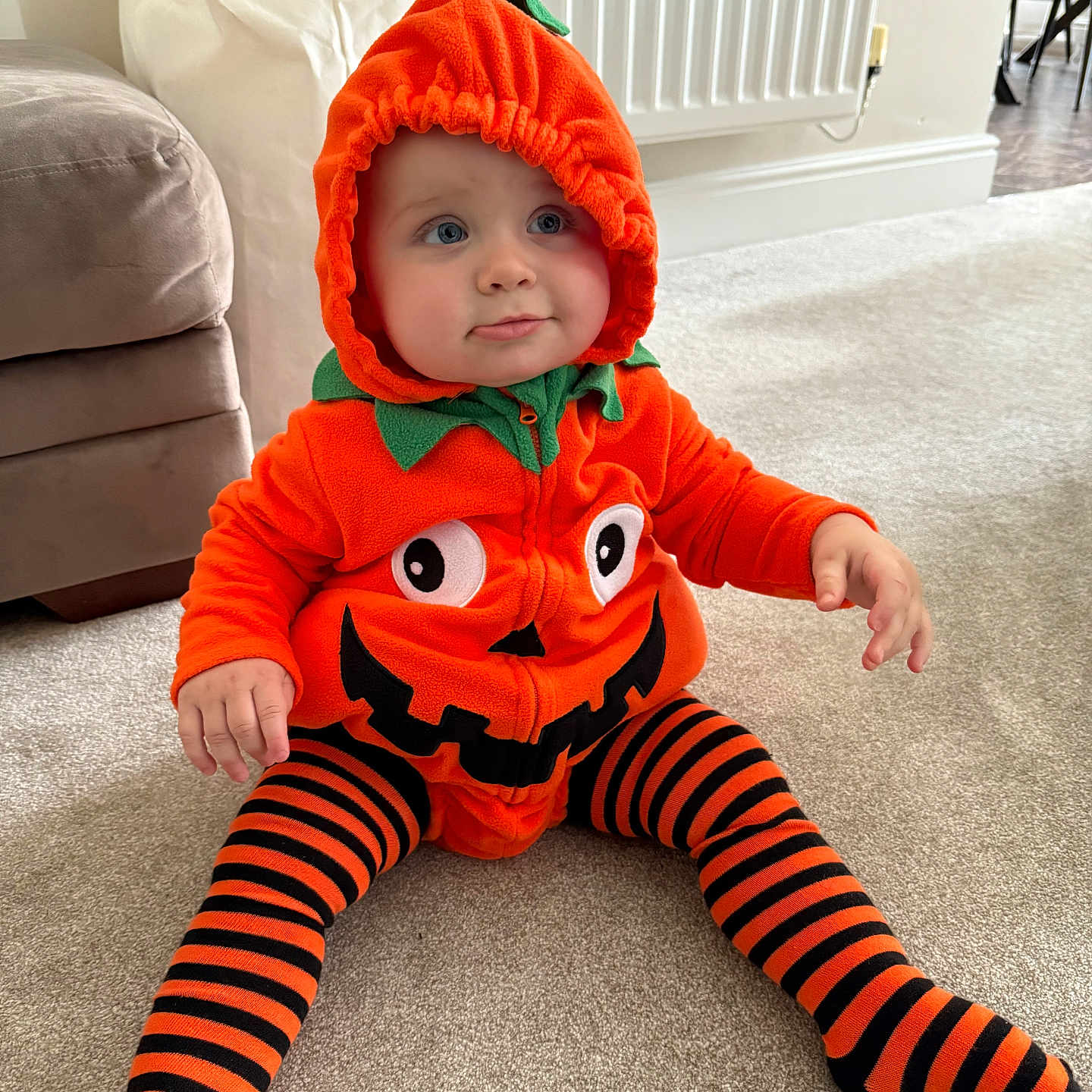 Kit joined the competition — help win amazing prizes! baby, black_and_orange, carpet, child, clothing, costume, curious, cute, face, floor, furniture, indoors, living_room, orange_hoodie, playful, pumpkin_costume, radiator, sitting, striped_tights, toddler
