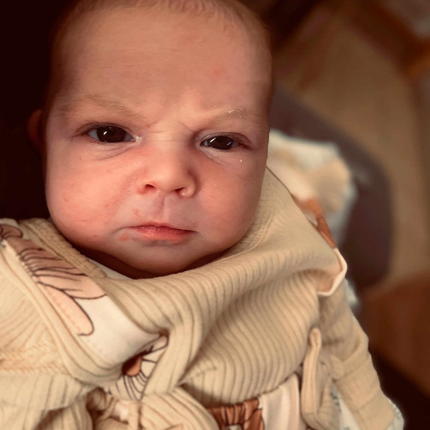 Eleonore a rejoint le concours — aidez-le/la à gagner de superbes lots ! baby, bodypart, clothing, face, finger, frown, hand, happy, head, hoodie, knitwear, longsleeve, newborn, person, photography, portrait, sad, sleeve, sweater, sweatshirt