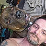 man, dog, tattoo, shirtless, couch, living_room, relaxed, brown_dog, pet, face, portrait, furniture, casual, companion, indoor, home, expression, closeup, resting, friendship