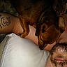 Brownie joined the competition — help win amazing prizes! dog, person, sleeping, pillow, tattoo, arm, face, beard, nose, indoor, resting, brown_dog, snuggling, closeup, pet, relaxing, sleep, hair, skin, comfort