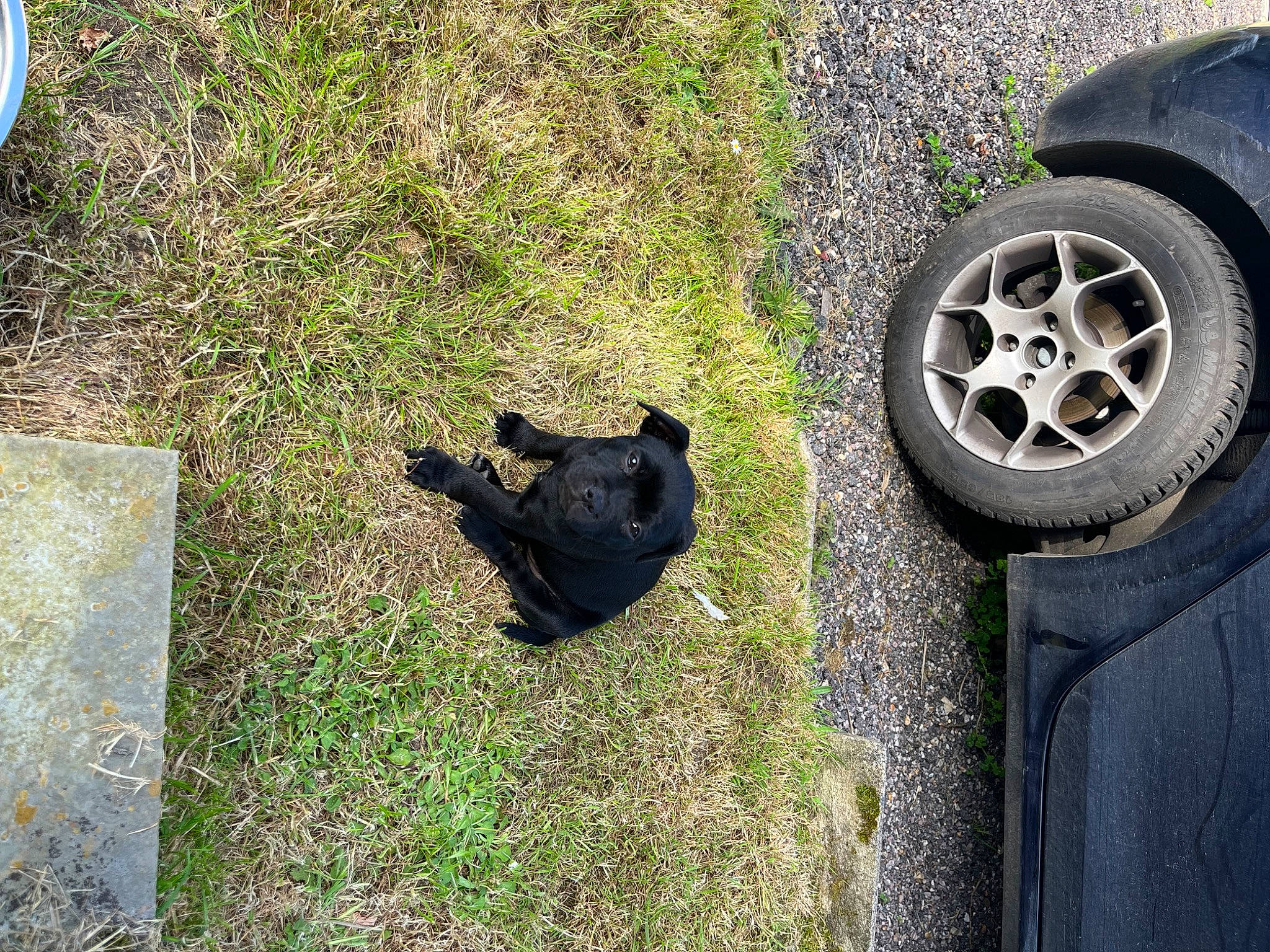 Kyra participe au concours pour gagner de l'argent avec cette photo : alloy_wheel, asphalt, automotive_design, automotive_lighting, automotive_tire, bumper, car, fender, grass, hubcap, motor_vehicle, rim, road_surface, synthetic_rubber, tints_and_shades, tire, tread, vehicle, vehicle_door, wheel