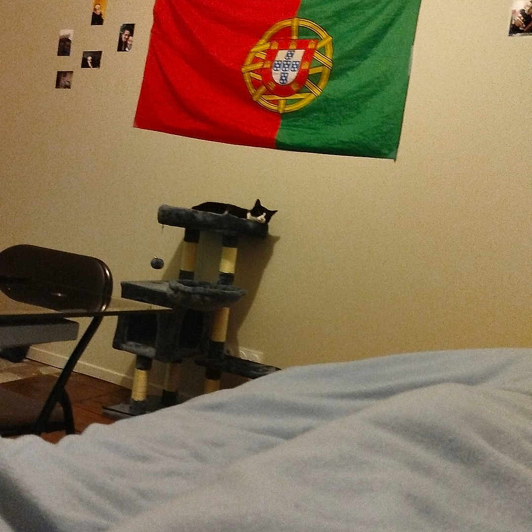 Channel a rejoint le concours — aidez-le/la à gagner de superbes lots ! bed, bed_sheet, bedding, building, chair, clinic, comfort, cosmetic_dentistry, event, flag, flooring, furniture, health_care, hospital, linens, medical, medical_equipment, paint, room, service