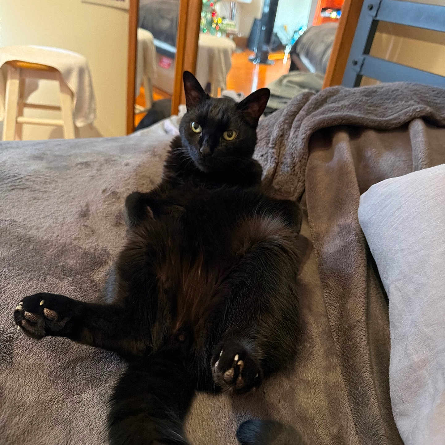 Coco