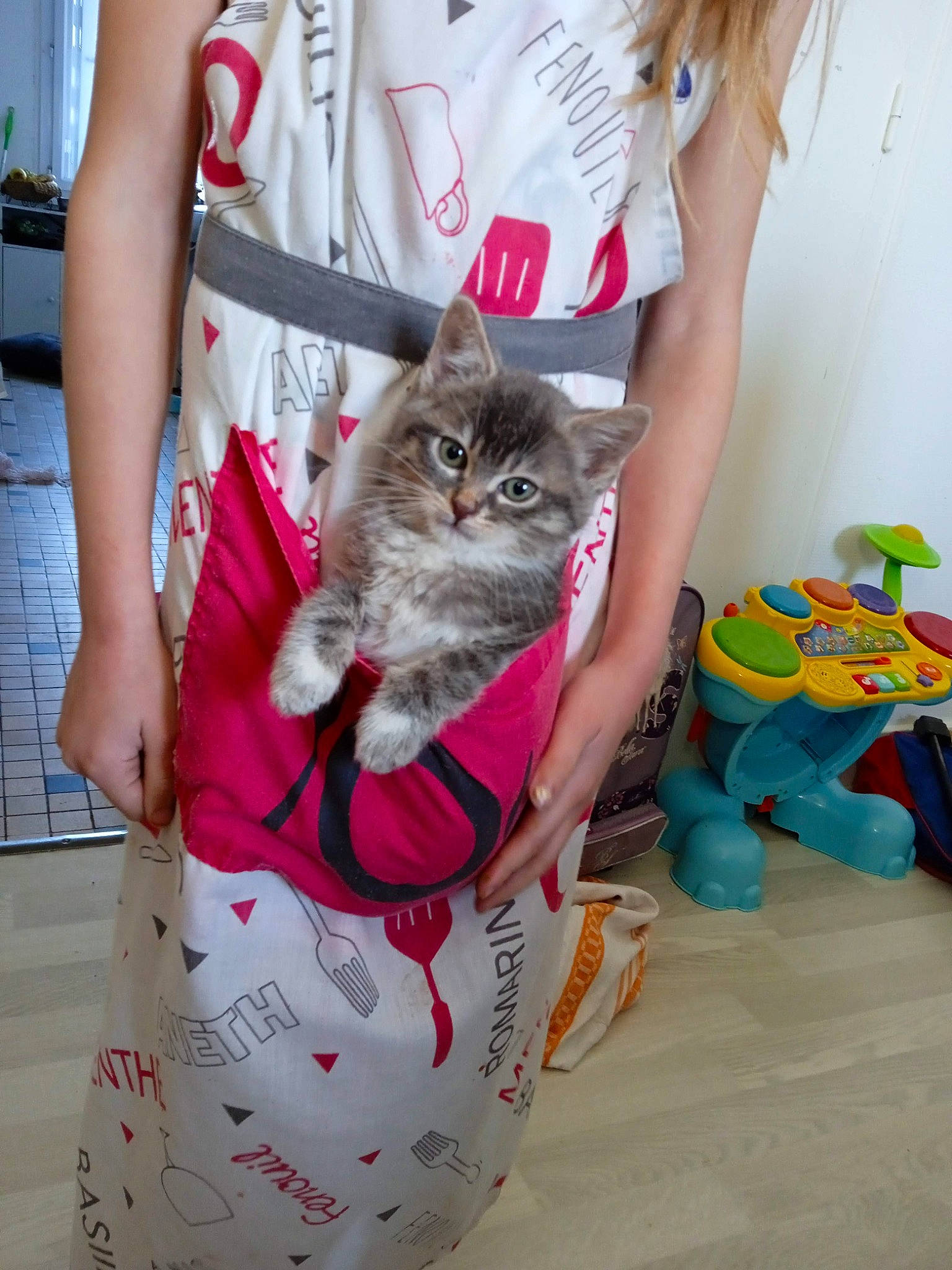 Spirit a rejoint le concours — aidez-le/la à gagner de superbes lots ! carnivore, cat, child, fawn, felidae, fur, gesture, human_leg, lap, mammal, pattern, pink, sleeve, small_to_medium_sized_cats, t_shirt, textile, thigh, vertebrate, whiskers, white