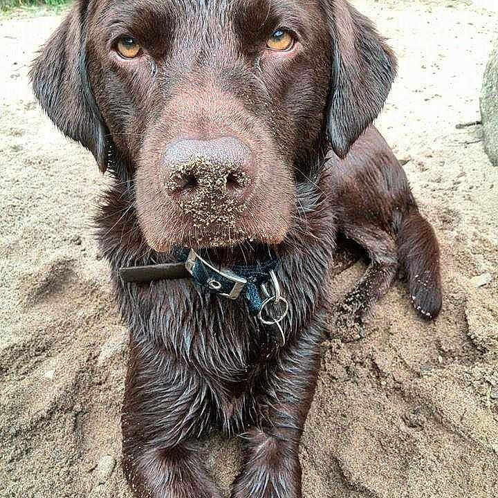 Charlie