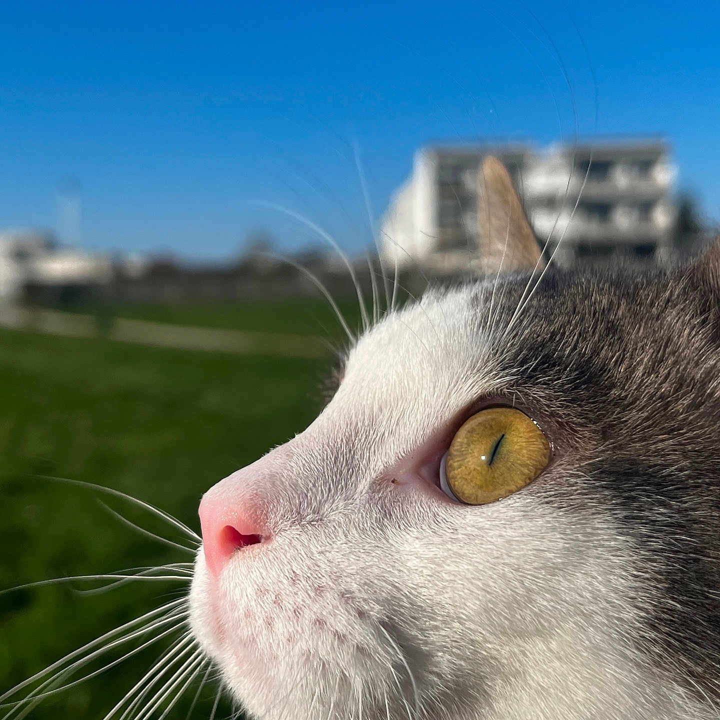 Tempête participe au concours pour gagner de l'argent avec cette photo :