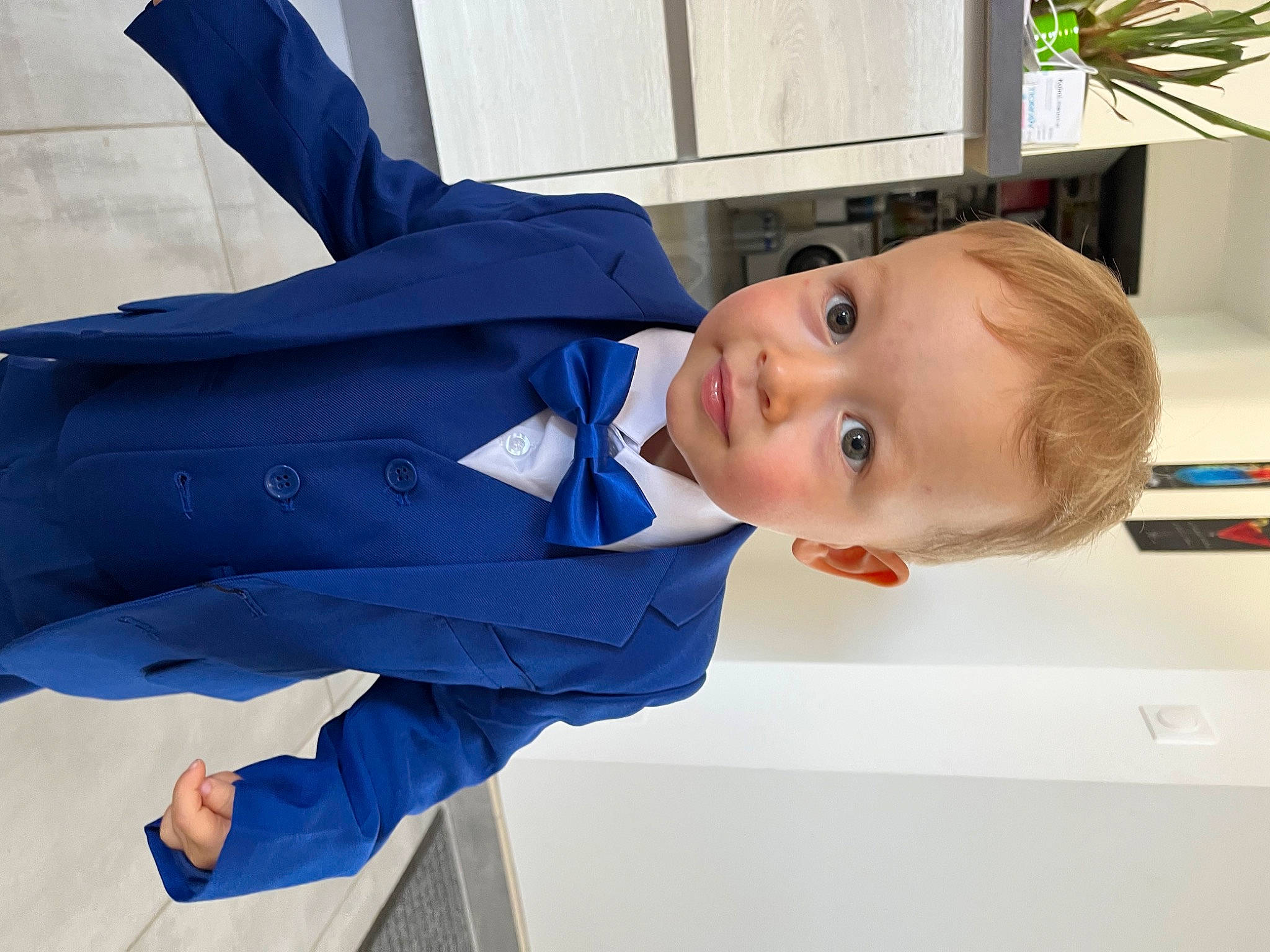 Robin a rejoint le concours — aidez-le/la à gagner de superbes lots ! baby, baby_toddler_clothing, child, collar, comfort, dress_shirt, elbow, electric_blue, gesture, happy, houseplant, person, plant, sleeve, tie, toddler, window