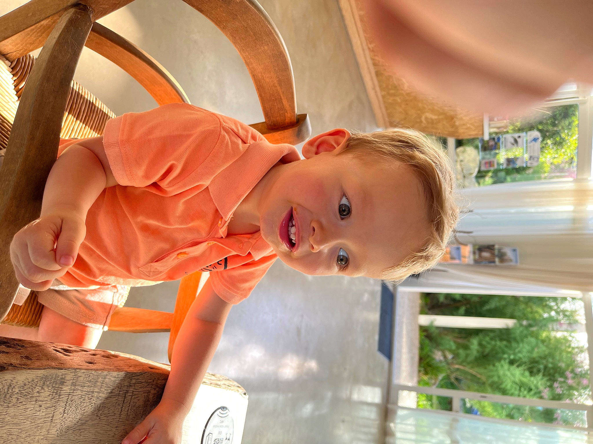 Robin a rejoint le concours — aidez-le/la à gagner de superbes lots ! baby, child, fun, happy, leisure, person, plant, sitting, smile, toddler, tree, vacation, wood