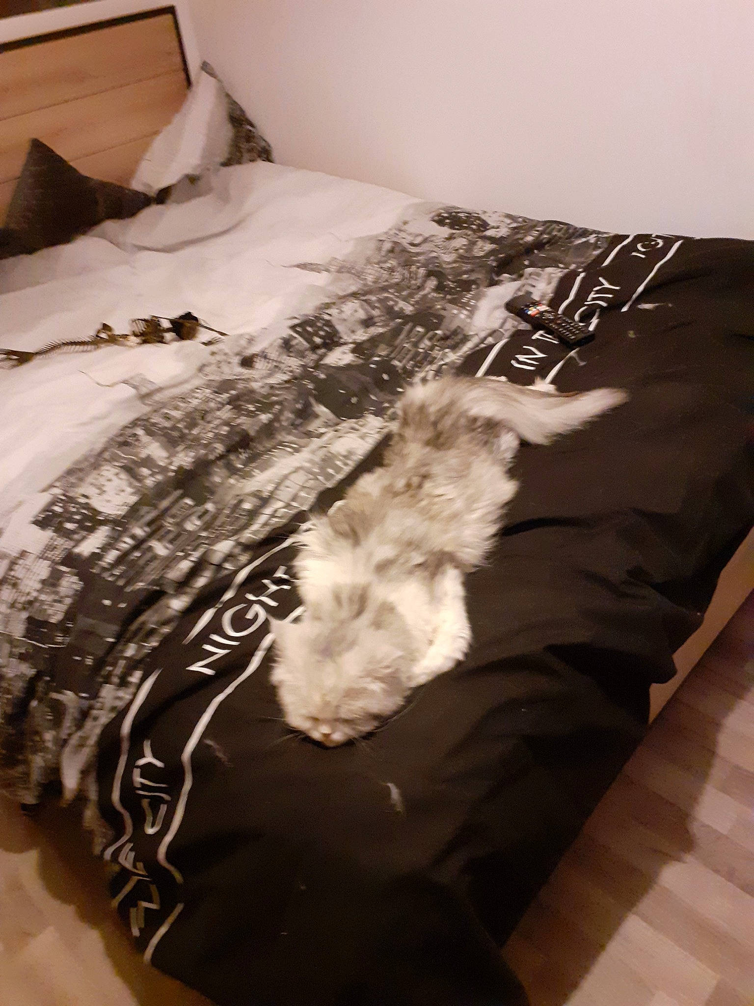 Oban participe au concours pour gagner de l'argent avec cette photo : bed, bed_frame, bed_sheet, bedding, bedroom, blanket, comfort, duvet, duvet_cover, fur, furniture, linens, mattress, pillow, room, textile