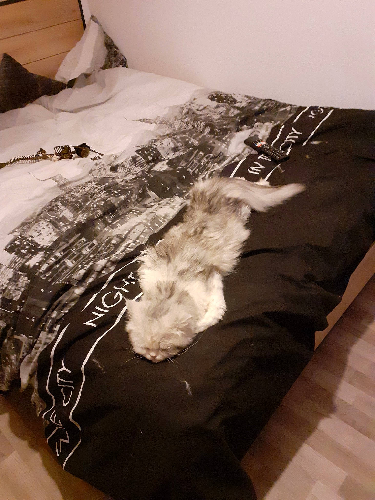 Oban a rejoint le concours — aidez-le/la à gagner de superbes lots ! bed, bed_sheet, bedding, bedroom, blanket, duvet, duvet_cover, fur, furniture, linens, room, textile