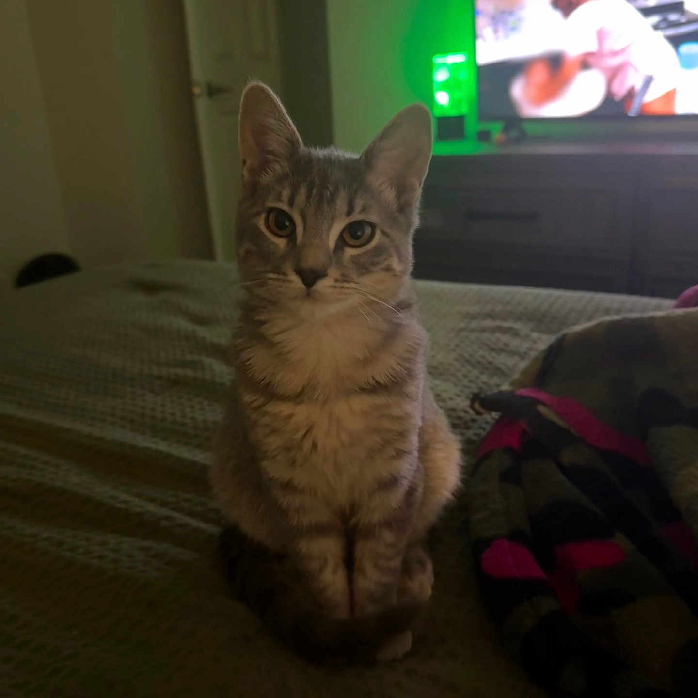 Sophie