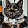 Edgar