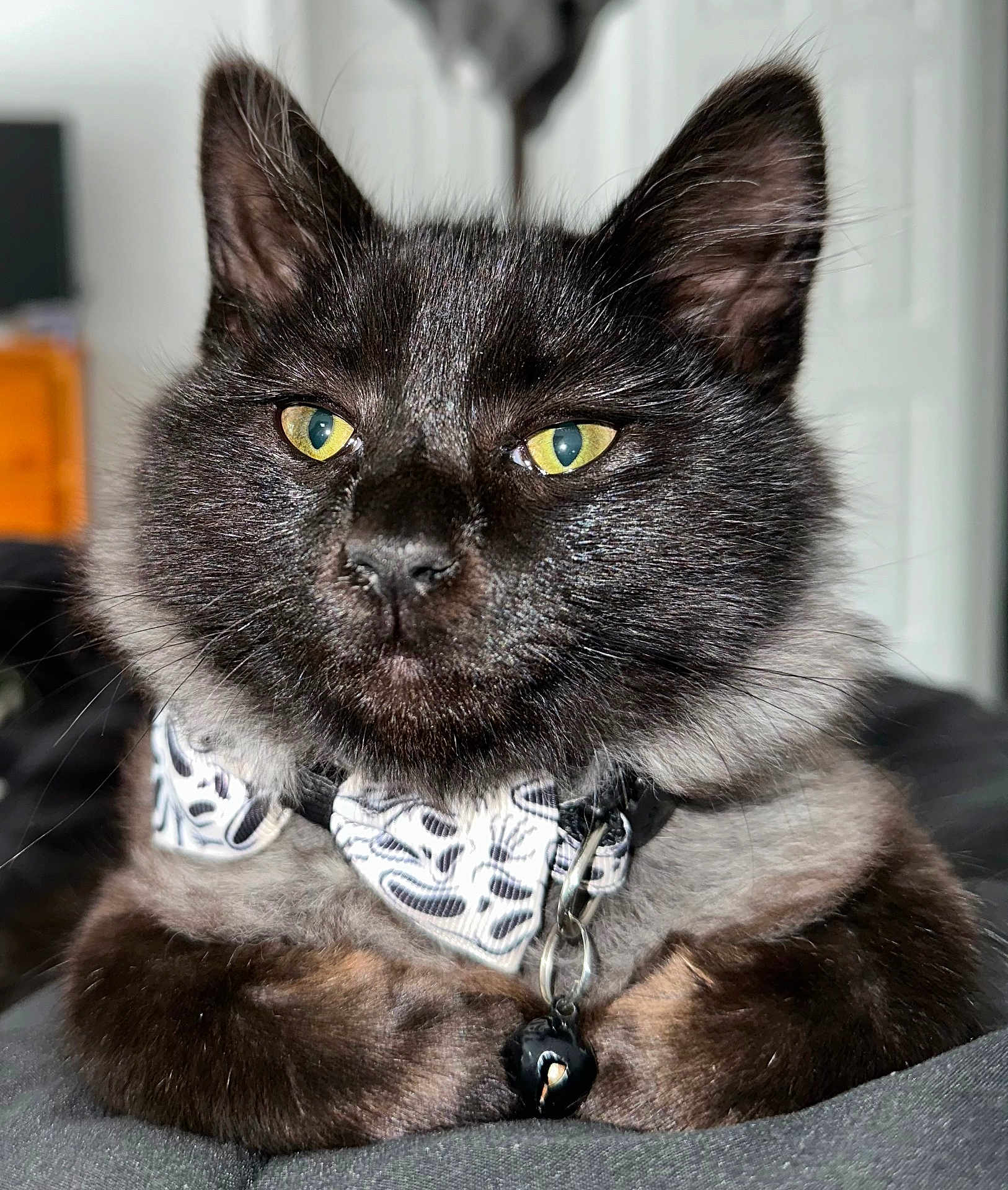 Edgar