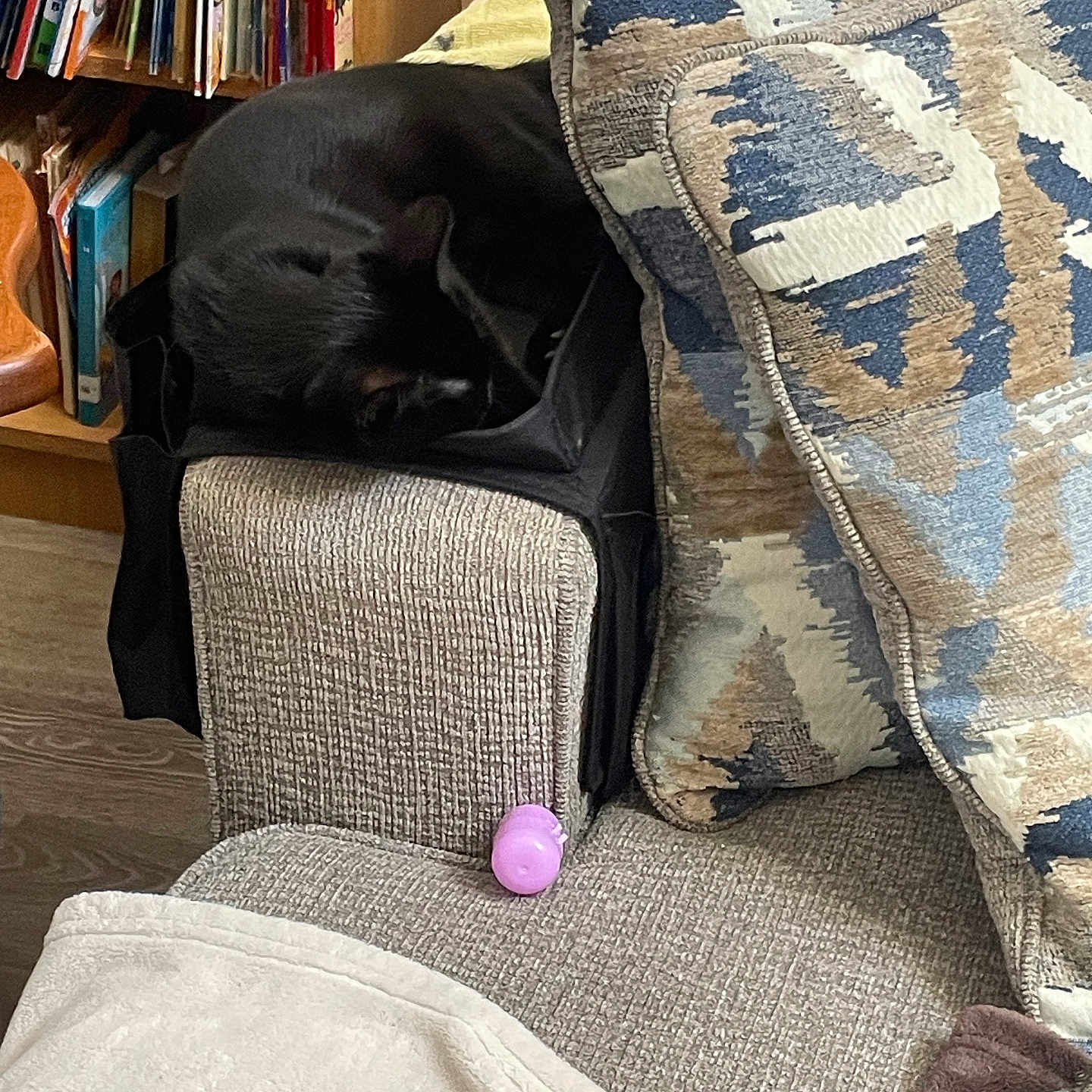 Binx