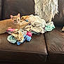animal, cat, couch, cozy, curious, feline, fringe, home, indoor, laundry, leather_couch, orange_cat, paw, pet, pile_of_clothes, pillow, plaid_pillow, relaxed, resting, throw_blanket
