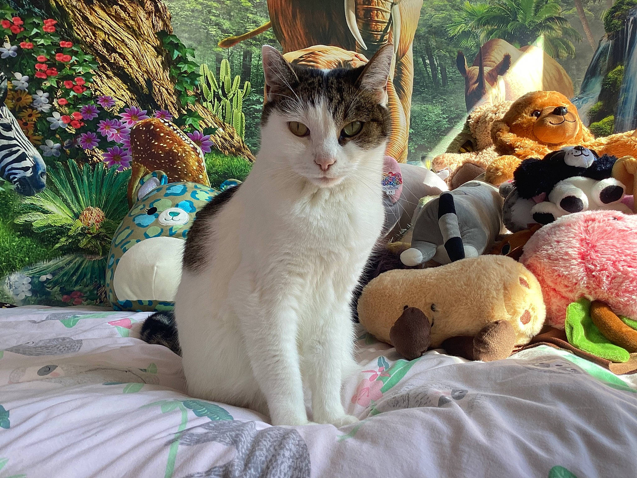 Max joined the competition — help win amazing prizes! carnivore, cat, comfort, domestic_short_haired_cat, fawn, felidae, fur, grass, mammal, paw, plant, small_to_medium_sized_cats, snout, spring, stuffed_toy, tail, textile, toy, vertebrate, whiskers